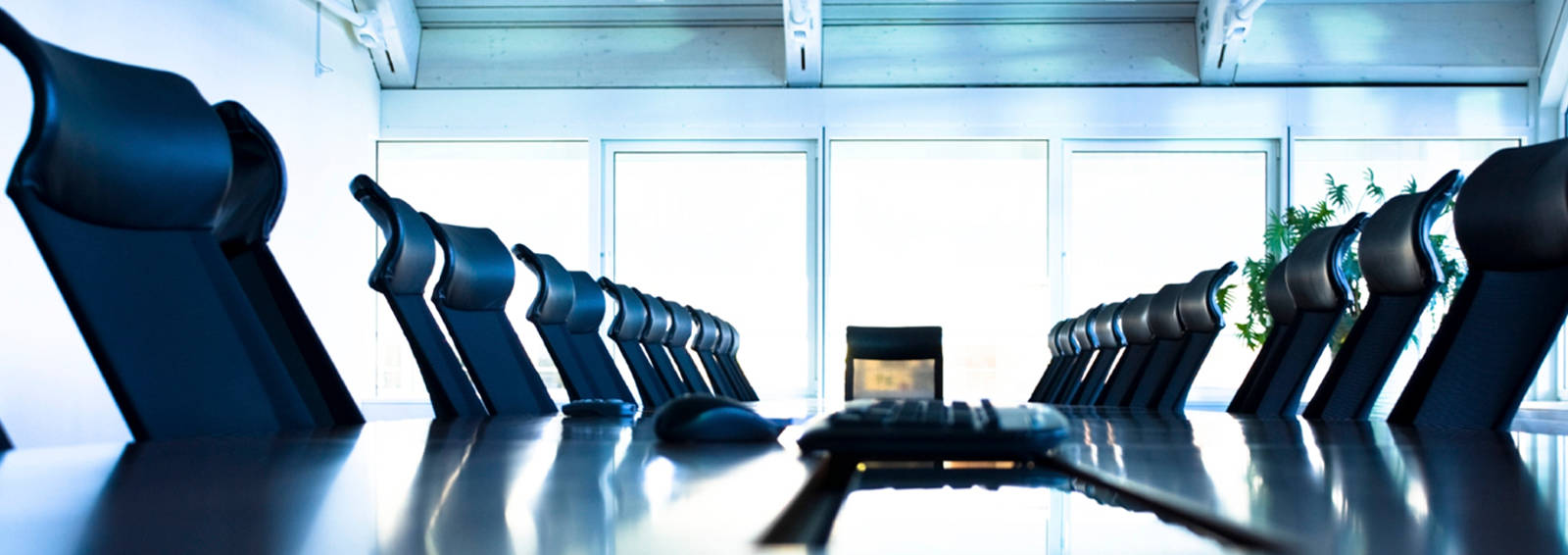 Corporate Advisory